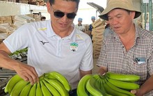 'Siêu thực phẩm' của Việt Nam khiến người Nhật dù khó tính nhất cũng phải khen vừa thơm vừa ngon: một Tập đoàn lớn bao tiêu 1.500ha của bầu Đức, bán 140.000 đồng/quả