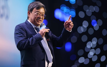 Tỷ phú Nguyễn Đăng Quang có thêm một doanh nghiệp tỷ đô sau động thái hạn chế xuất khẩu khoáng sản từ phía Trung Quốc