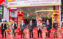 HDBank tiếp tục mở rộng mạng lưới, khai trương Phòng giao dịch mới tại Tuyên Quang