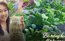 Người phụ nữ trung niên được coi là "bậc thầy trồng hoa" bất ngờ chuyển sang trồng rau để tiết kiệm tiền