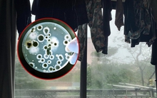 Bác sĩ: Nếu đang phơi quần áo trong nhà, nên dừng lại ngay!