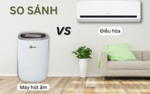 Chống nồm ẩm dùng điều hoà hay máy hút ẩm có lợi hơn?