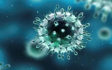 Quảng Ninh: Một học sinh lớp 7 tử vong nghi do cúm A