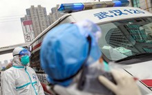 Trung Quốc phát hiện virus corona mới, có thể lây sang người như COVID-19