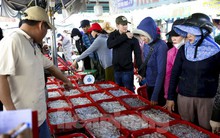 Mực tươi đầy ắp, mua bán nhộn nhịp ở cảng cá lớn nhất miền Trung