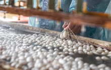 Tập đoàn Thụy Điển muốn bỏ 1 tỷ USD xây nhà máy, Việt Nam tiến mạnh mẽ trong lĩnh vực đang top 2 thế giới