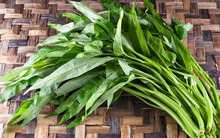 Loại rau chỉ cần cắm xuống đất là lớn