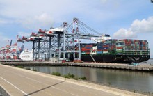 Báo lãi lớn, Cảng Đồng Nai (PDN) tạm ứng cổ tức 2024 đợt 1 với tỷ lệ 20% bằng tiền mặt