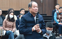 Nguyên Phó Thủ tướng và hai cựu bộ trưởng không bị xử lý hình sự trong vụ EVN thiệt hại hơn nghìn tỷ đồng