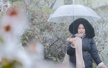 Miền Bắc sắp đón "tin vui" thời tiết sau chuỗi ngày nồm ẩm, không khí lạnh "nối đuôi"