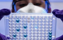 Google AI giúp giải quyết vấn đề kháng thuốc kháng sinh chỉ trong 48 giờ