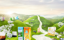 Mộc Châu Milk còn gần 780 tỷ đồng chưa sử dụng từ đợt phát hành 43,2 triệu cổ phiếu