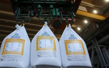 Hàng chục nghìn tấn hàng từ Belarus bất ngờ đổ bộ Việt Nam trong tháng 1: Là cứu tinh của nông sản Việt, thế giới lại tiếp tục lên cơn sốt