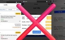 Sàn thương mại điện tử 'dỏm' lừa tiền tỷ từ sinh viên đến 'bậc thầy' kinh tế