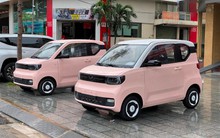 Công ty Việt bán xe điện Trung Quốc giá từ 150 triệu: Báo lỗ kỷ lục, giải thể loạt chi nhánh, cổ phiếu vẫn tăng 74% từ đầu năm