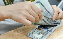 Tỷ giá hôm nay 25/2: USD tự do giảm, USD ngân hàng diến biễn trái chiều