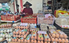 Giá trứng gà ở Việt Nam giảm sâu, sao không xuất khẩu sang Mỹ?