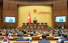 TOÀN VĂN: NGHỊ QUYẾT 190/2025/QH15 CỦA QUỐC HỘI VỀ SẮP XẾP TỔ CHỨC BỘ MÁY NHÀ NƯỚC