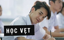 Giám khảo IELTS kể chuyện thí sinh học vẹt: "12 em thi nói thì tận 8 em kể chuyện "bà qua đời" sau khi làm tặng cháu chiếc bánh"