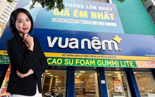 Vua Nệm dưới thời nữ tướng Nguyễn Thị Thanh Huyền: Mở 11 cửa hàng mới trong 3 tháng, tiếp tục giấc mơ trở thành 'Thế Giới Di Động ngành đệm'