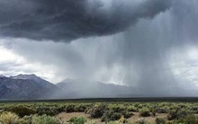 Dùng AI để gọi mưa giữa sa mạc