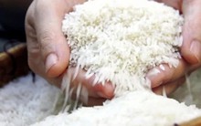 Dự báo giá gạo khó tăng trở lại