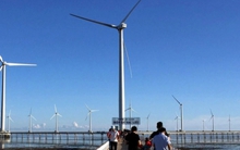 Điện gió ngoài khơi chậm triển khai, nhiều nhà đầu tư muốn rút khỏi Việt Nam