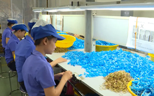 Đồng Nai xuất khẩu hơn 4,1 tỷ USD trong 2 tháng đầu năm 2025