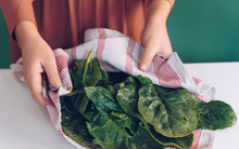 Mỹ đánh giá "rau tốt nhất thế giới" hóa ra là rau quen thuộc ở Việt Nam