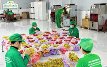 Bó hoa trà Thái Nguyên – Món quà sáng tạo và độc đáo tặng phái đẹp ngày 8/3