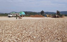 Việt Nam sở hữu 'vựa lúa dưới lòng đất' được Nam Á đổ tiền thu mua hàng nghìn tấn: xuất khẩu tăng hơn 100%, Trung Quốc rốt ráo săn lùng