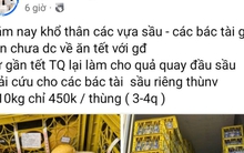 Thực hư “giải cứu” sầu riêng giá siêu rẻ