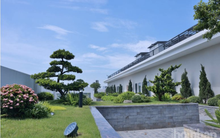 “Khơi thông” bất động sản dưỡng lão từ nguồn kiều hối về Việt Nam