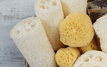 Những chiếc xơ mướp xưa cho ai cũng chê nay lại được phổ biến với công dụng và giá bán bất ngờ!