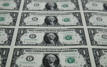 Xu hướng phi USD hóa có tiếp tục sau sự phản đối của ông Trump?