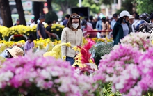 Phải niêm yết giá!