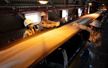 "Phát súng" đầu năm rực rỡ của DN sản xuất mặt hàng Việt Nam xuất khẩu thu về hàng trăm triệu USD/năm