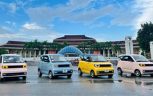 Công ty bán xe điện Trung Quốc giá rẻ chỉ từ 150 triệu đồng giải thể thêm hai chi nhánh sau khi báo lỗ kỷ lục