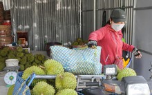Thấy gì từ việc giá sầu riêng giảm quá sốc?