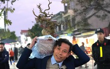 Chợ Viềng nhộn nhịp trước giờ khai hội