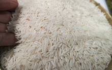 Giá gạo rơi xuống đáy