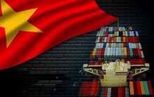 Ông lớn Việt Nam nhắm mục tiêu "lớn nhất lịch sử": Đội tàu top 3 ASEAN áp sát "mỏ vàng" hơn 600 nghìn tỷ đồng