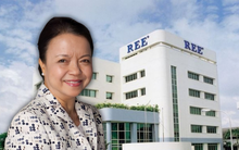 REE "rục rịch" chi nửa nghìn tỷ tiền cổ tức, gia đình bà Mai Thanh nhận về gần trăm tỷ đồng