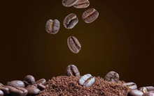 Giá cà phê lập đỉnh 11 phiên liên tiếp, chuyện gì đang xảy ra?