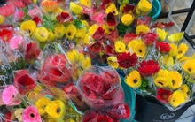 Giá hoa đồng tiền 'nhảy dựng' trong ngày vía thần Tài ở TP.HCM