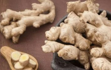 Những lợi ích không ngờ khi kiên trì ăn một lát gừng tươi buổi sáng