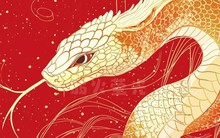 5 con giáp có tài lộc thăng hoa nhất năm Ất Tỵ: Vận đỏ như son, đầu tư, kinh doanh đều vượt xa 2024