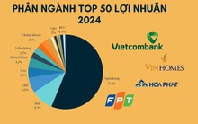 Top 50 lợi nhuận 2024 vẫn là cuộc áp đảo của ngân hàng và BĐS, BSR, KBC, HAG, NVL 'biến mất' trong khi 2 công ty họ GELEX trỗi dậy
