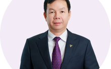 Phó Tổng Giám đốc kiêm Giám đốc Khối Xử lý và Thu hồi nợ TPBank xin nghỉ việc