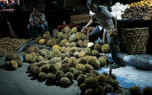 Trước khi bị Trung Quốc trả về 60 tấn sầu riêng nhiễm hoá chất, Thái Lan đã "hụt hơi" thế nào tại thị trường tỷ dân: xuất khẩu giảm, "dâng" thị phần vào tay Việt Nam